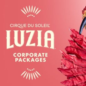 3 Reasons to Plan a Corporate Event at Cirque du Soleil