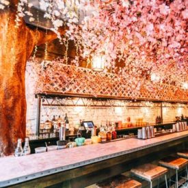 Pretty In Pink: 16 Spring-Friendly Ideas From National Cherry Blossom Festival Events